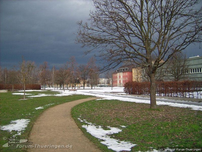 Vor der Sintflut? - Blick vom Hofwiesenpark zum Küchengarten.
Hochgeladen von Spidy am 09.01.2011 bild-512.jpg