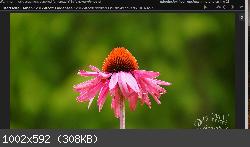 https://www.forum-thueringen.de/imghost/image.php?id=76afcccf147effa879b5a8c6dadb6798&amp;action=thumb